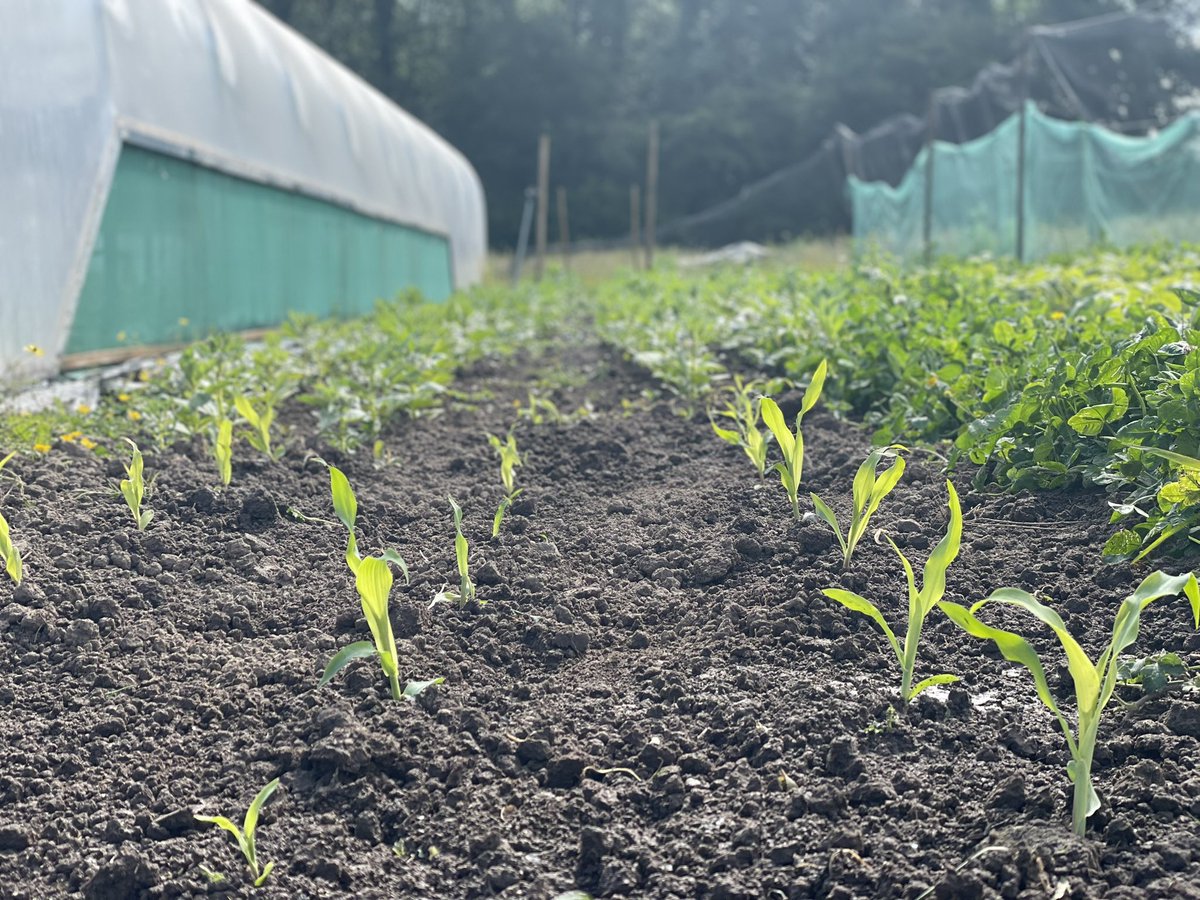 Last minute cancellation of 4 for this evening at 6.
Please RT