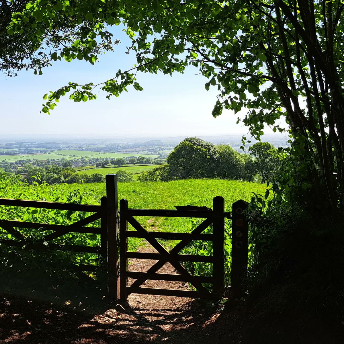LongWeekenders's tweet image. Great 3 days #rambling along the west deane way from #Taunton then along #coleridgeway to #Porlock. 55 miles of #hills #views #sunshine #ancientwoods #walkthisway @GetOutsideSom @ColeridgeNT @FrofQuantock @LDWA1