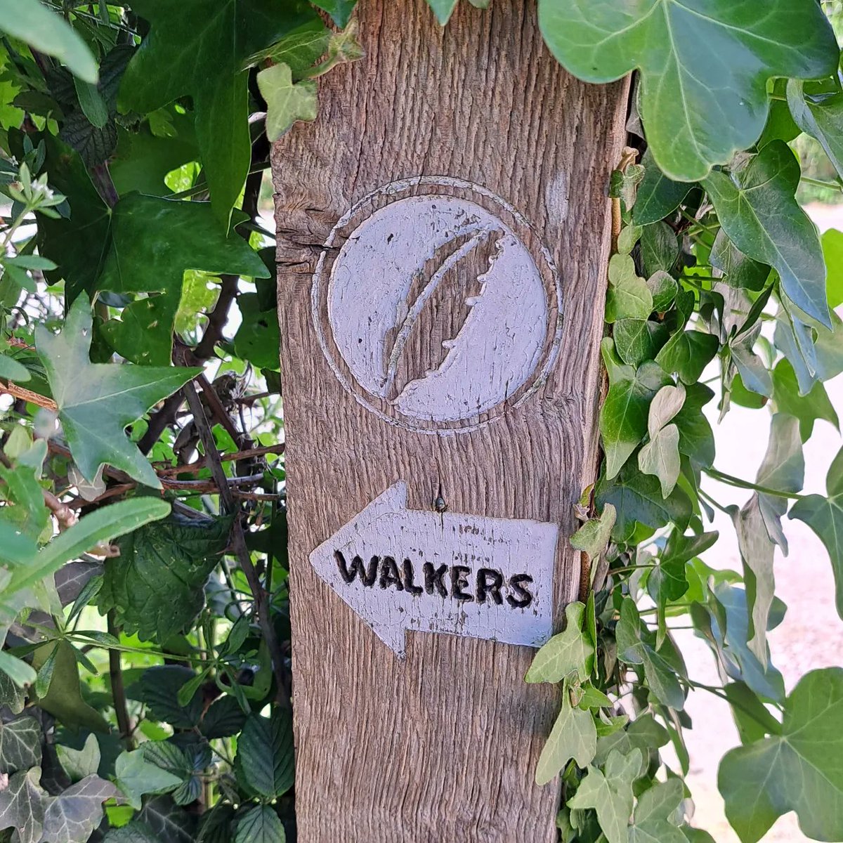 LongWeekenders's tweet image. Great 3 days #rambling along the west deane way from #Taunton then along #coleridgeway to #Porlock. 55 miles of #hills #views #sunshine #ancientwoods #walkthisway @GetOutsideSom @ColeridgeNT @FrofQuantock @LDWA1