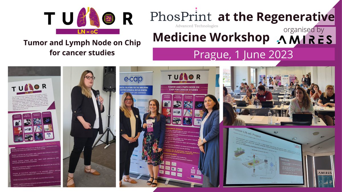 🤝 Yesterday, #TumorLNoC partner
<a href="/phosprint/">Phos Print</a> participated in the 3rd Regenerative Medicine Workshop organized by <a href="/AMIRES_EU/">AMIRES</a> in Prague! 🇨🇿

🎙️🇬🇷The Greek SME presented their project activities and laser #bioprinting services for diverse applications in #regenerativemedicine🧑‍🔬
