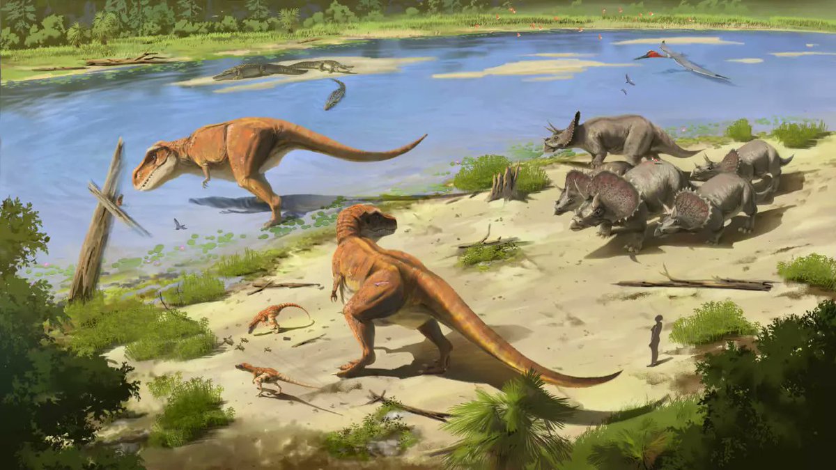 [CONTENU CLIC] A partir du 14 octobre 2023, le MNHN et Emissive présentent “Mondes disparus”, une expédition immersive de 3,5 milliards d’années <a href="/emissiveVR/">Emissive</a>  <a href="/Le_Museum/">Muséum national d'Histoire naturelle</a>  
club-innovation-culture.fr/mnhn-emissive-…