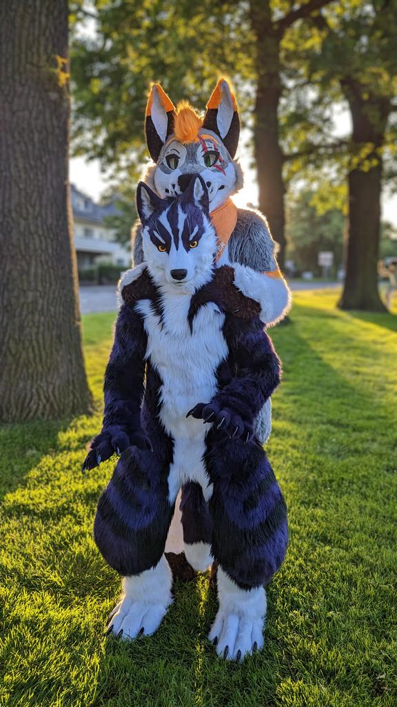 Celebrating this #FursuitFriday with @NoxeroWolf