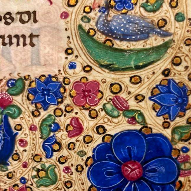 JesusOxford's tweet photo. A #FridayFlora post inspired by Italian manuscripts associated with the Venetian workshop of artist Leonardo Bellini (active 1443-1490). With thanks to Jesus Supernumerary Fellow Dr Andrew Dunning, R.W. Hunt Curator of Medieval Manuscripts @bodleianlibs
#JesusCollegeOxford https://t.co/YeqPCFhDW7