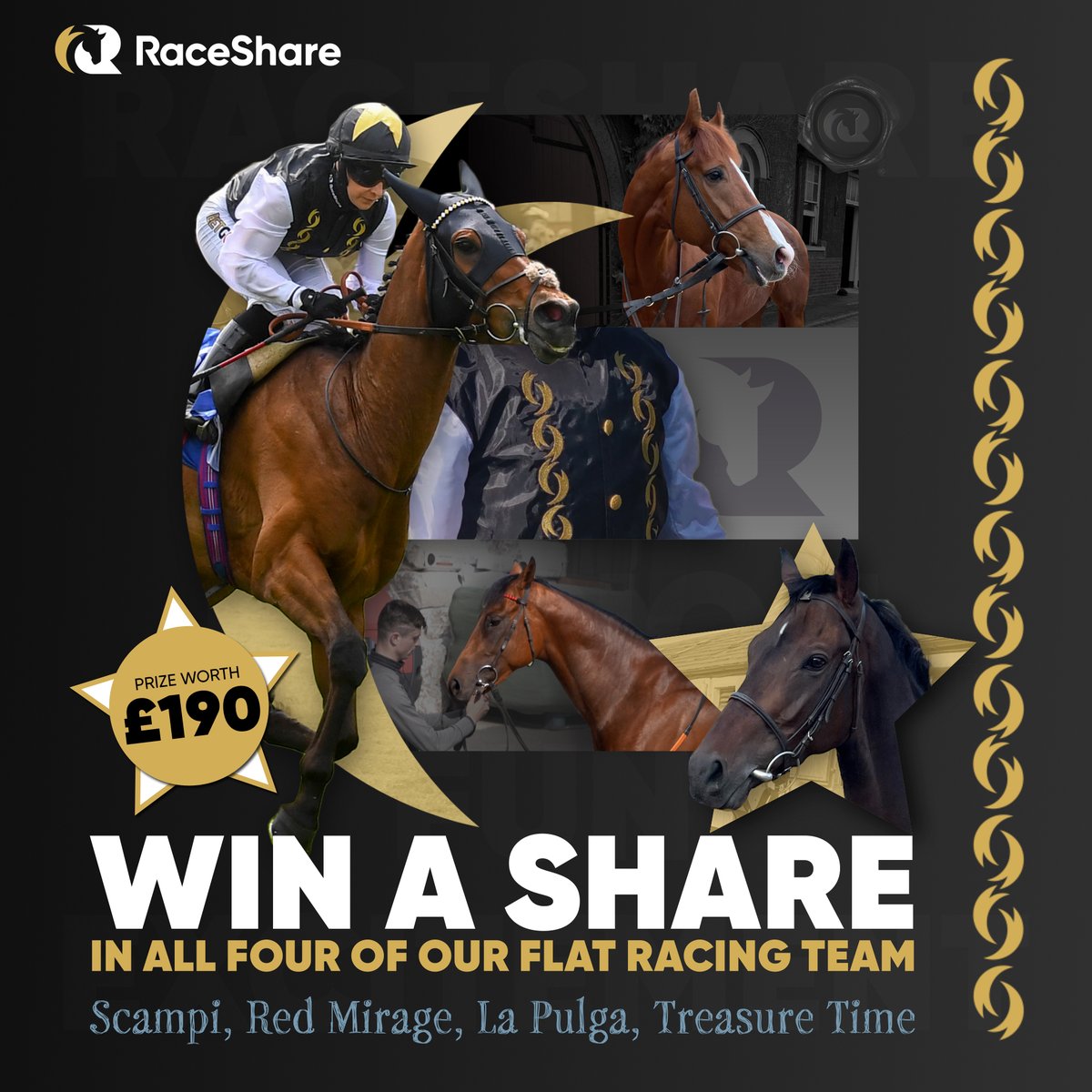 RaceShare tweet media