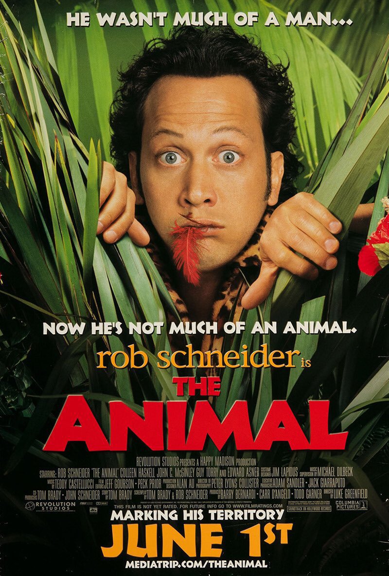 FilmNewsNos's tweet photo. 🎬MOVIE HISTORY: 22 years ago today, June 1, 2001, the movie 'The Animal' opened in theaters!

@RobSchneider #ColleenHaskell #JohnCMcGinley #GuyTorry #EdAsner #MichaelCaton #LouisLombardi #NormMacdonald @johnpfarley #AdamSandler #SebastianJude #CharlieStewart #PhilipDanielBolden https://t.co/q19eA0MfTZ