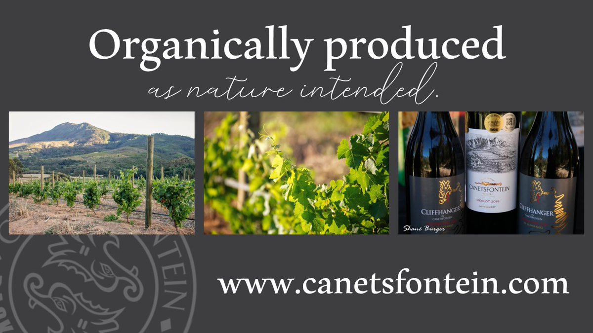 To explore the adventures, the lifestyle, winemaking & all there is to Canetsfontein, please visit our website at canetsfontein.com
You can also order our wines online.
#Canetsfontein #wellington #premiumwines #mountainbiking #OrganicWines #organicwines   #CapeWinelands