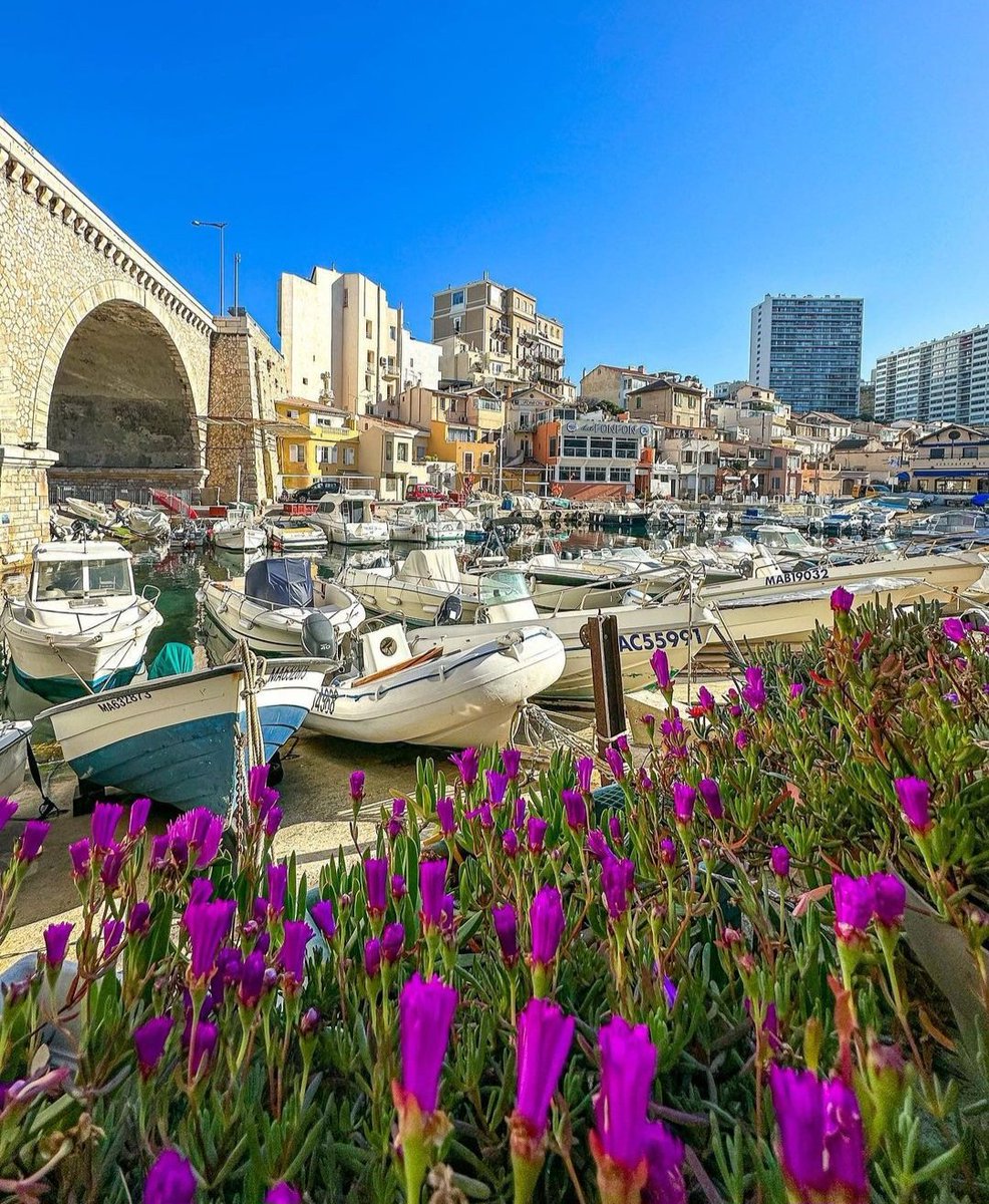 L'été approche, on va essayer de revenir doucement mais sûrement parmi vous. 💛

On commence avec ce sublime cliché de Valentin Sauerbray ! 🤩