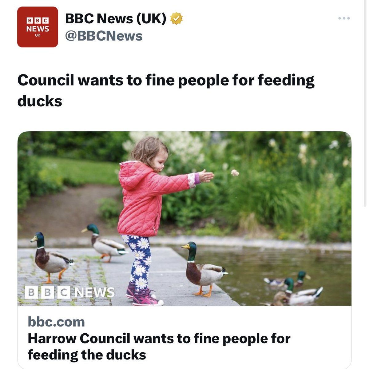 PeterStefanovi2's tweet image. Todays @BBCNews story of national interest - Council wants to fine people for feeding ducks

Not of national interest - a make or break moment for parliamentary democracy as Government tries to restrict our right to protest through the back door