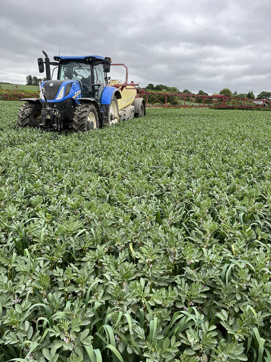 MattCrapper's tweet photo. Spring beans oats and barley mixture starting to motor away now. https://t.co/VNEj23ybgJ