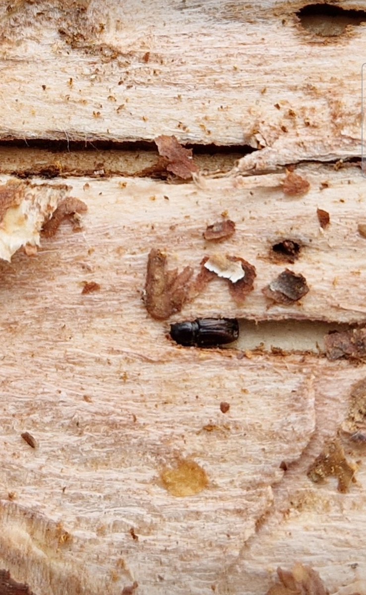 Kiitokset osallistujille ja järjestäjille. Tässä eilisellä toimittajaretkellä kuvattu pahis: #kirjanpainaja