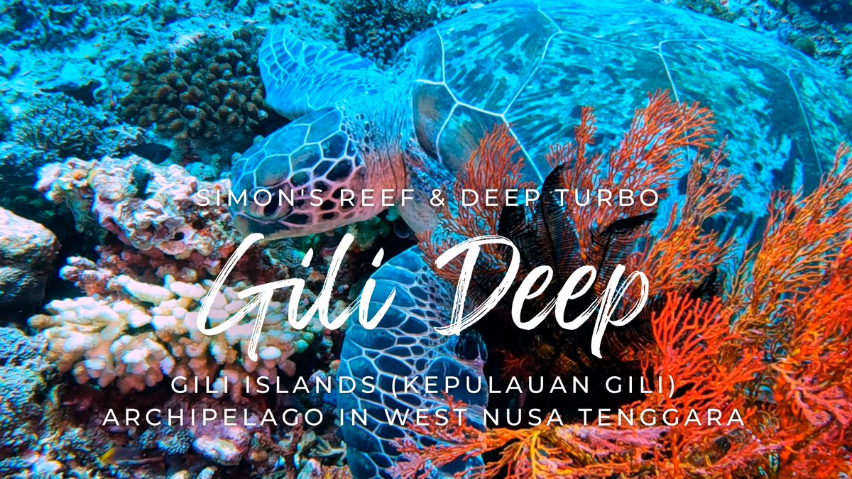 DivingandDogs's tweet photo. Deep Divining the Gili Islands, Lombok, Indonesia.

Chapter 4: Simon's Reef &amp; Deep Turbo #giliislands #deepdive https://t.co/pJdptZSsRw via @YouTube 

#giliislands #lombok #indonesia #scubadiving #divevlog #diveguide #youtube #subscribe #like #diving https://t.co/LSG8vtOvlj