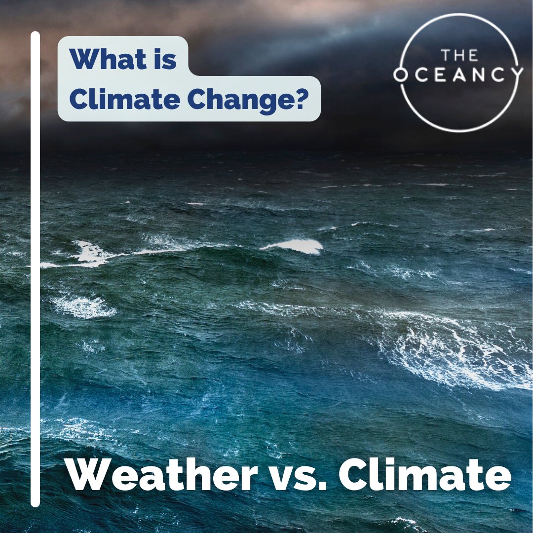 The Oceancy tweet media