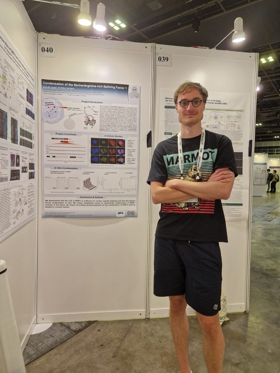 KoehnLab's tweet image. Luca M. Lauth (PhD Student) presented his poster on phase transition of SRSF1 (Ott &amp;amp; Köhn Labs collaboration) at the RNA Society Meeting Singapore. #RNA23 #RNA2023 #RTG2467 @UniHalle