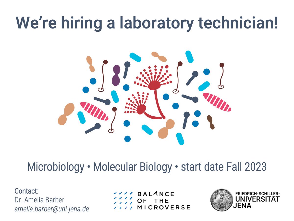 Amelia Barber (@ameliabarberphd) on Twitter photo We're hiring a lab technician to play a key role in our ongoing projects studying antimicrobial resistance, microbial ecology, and the mysteries of fungal genomes!
Application link in thread below. Please RT!
<a href="/microverse_exc/">Balance of the Microverse</a> <a href="/profillinie/">LIFE Profillinie</a> <a href="/UniJena/">Universität Jena</a> <a href="/JenaVersum/">JenaVersum</a> We're hiring a lab technician to play a key role in our ongoing projects studying antimicrobial resistance, microbial ecology, and the mysteries of fungal genomes!
Application link in thread below. Please RT!
<a href="/microverse_exc/">Balance of the Microverse</a> <a href="/profillinie/">LIFE Profillinie</a> <a href="/UniJena/">Universität Jena</a> <a href="/JenaVersum/">JenaVersum</a>
