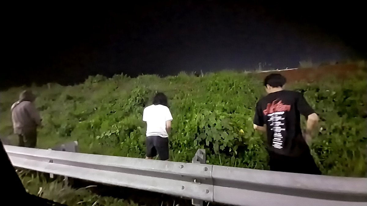 Lagi mancing anuan di rumput2