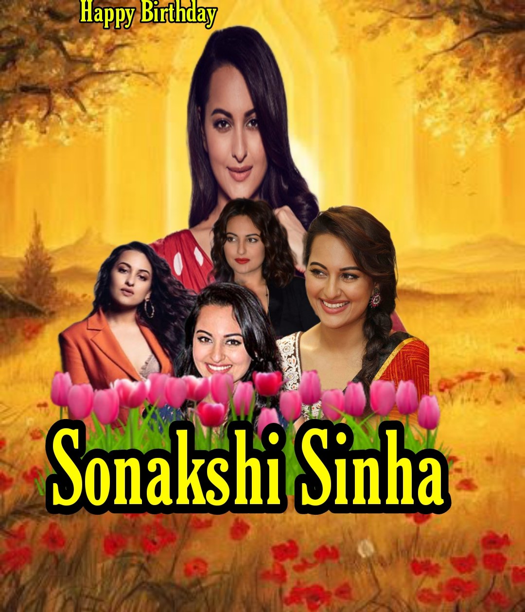 Happy Birthday Sonakshi Sinha   