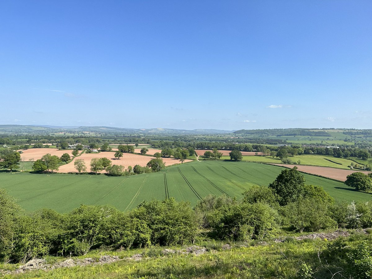 StefRobinson's tweet photo. Walking through Mortimer Forest on the outskirts of Ludlow in Shropshire βοΈ #Ludlow #MortimerForest #Shropshire #Landscape #RobinsonRoams https://t.co/YRs4l1bjSp