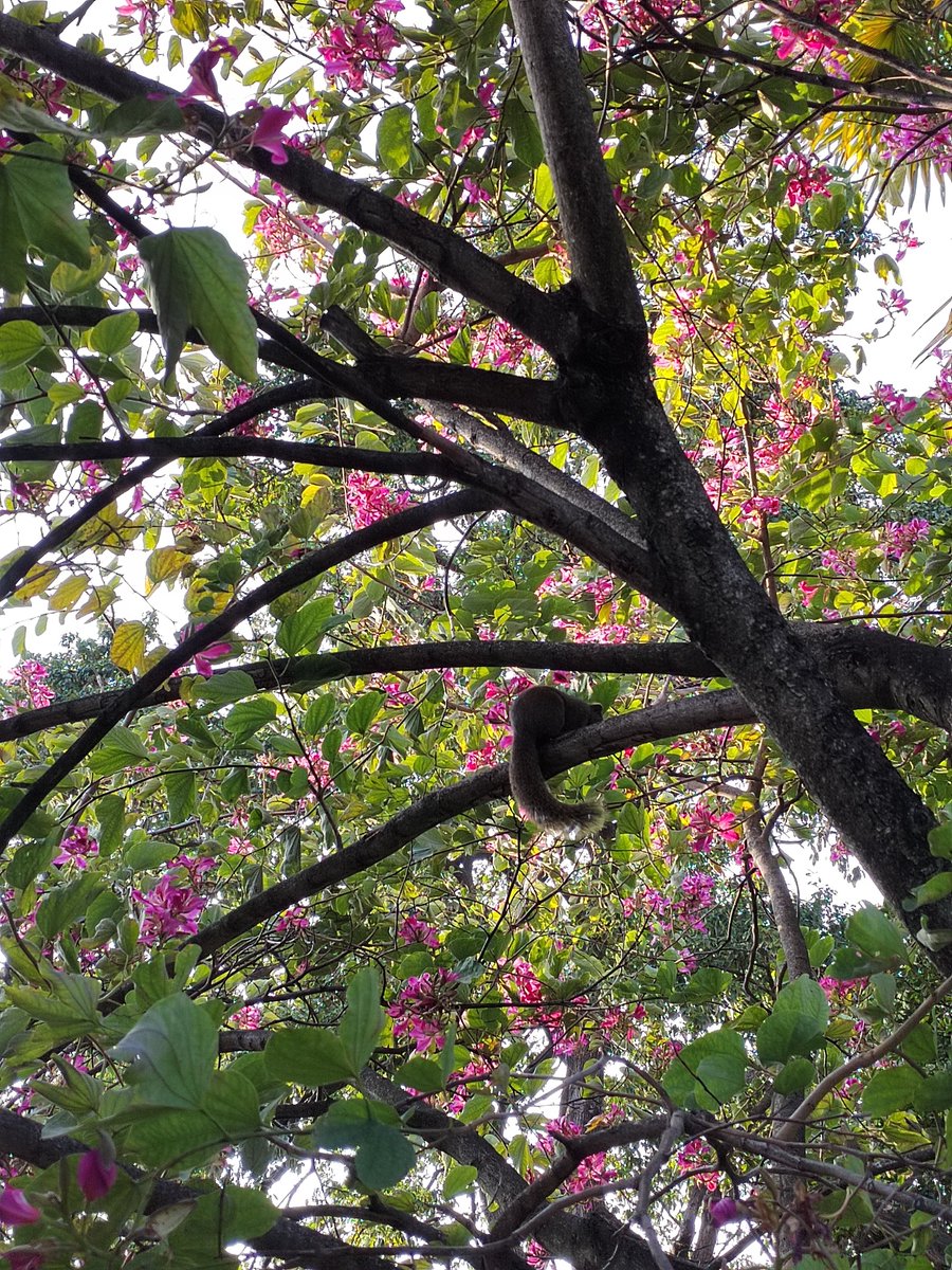 眼缘这东西是玄学，看着平凡的人可以被对方的学识，谈吐，观点增加好感。都为了生活和家人在奔波，男人的肚腩和女人的皱纹并不会影响性爱带给人的愉悦