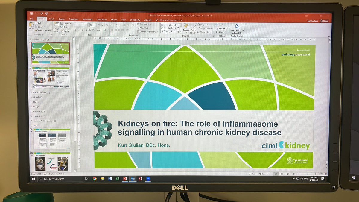 Kurt Giuliani PhD tweet media