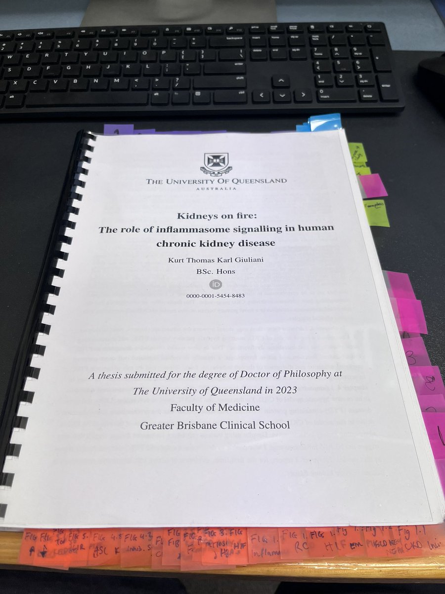 Kurt Giuliani PhD tweet media