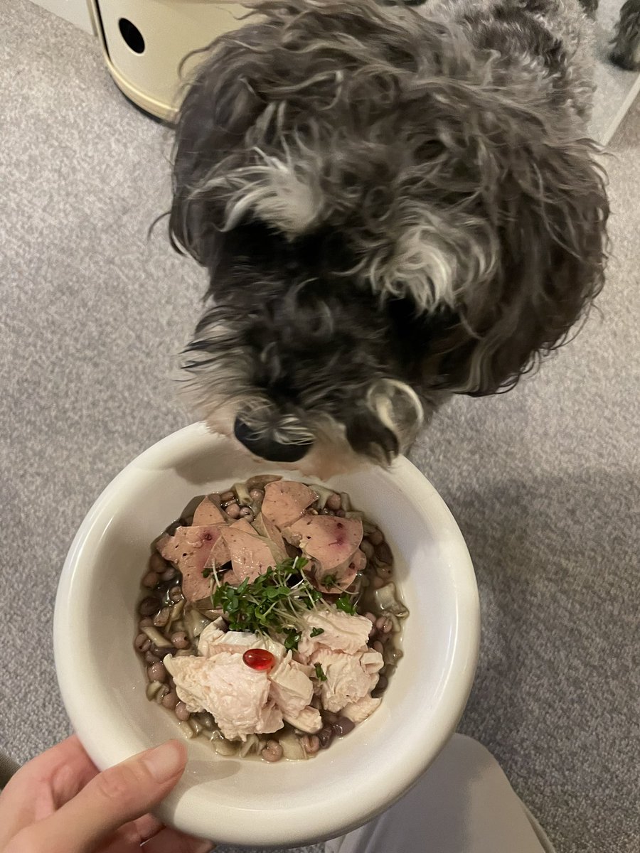 pippotokyo's tweet photo. 今週のピポ飯ハイライト🍚 https://t.co/HU3hsZbL7i