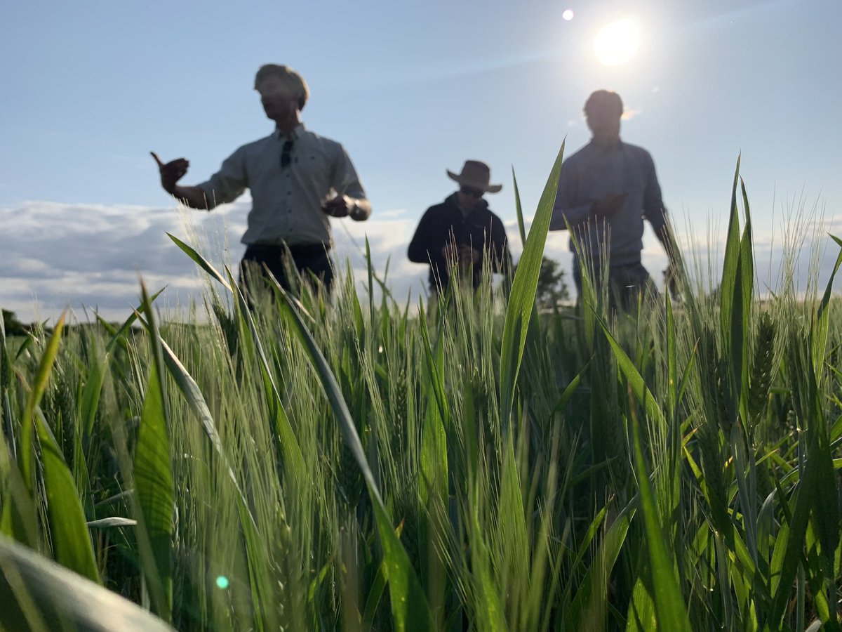 #Denmark is amazing! I absolutely want to return here. 60% of their land is in agriculture and they are truly a #FoodNation! Learning all #conservation on the farm and #diversified rotations. Wonderful visit with <a href="/FredVLarsen/">Frederik V. Larsen</a>. <a href="/NuffieldInt/">Nuffield International Farming Scholars</a> #globalfocusprogram in full swing!