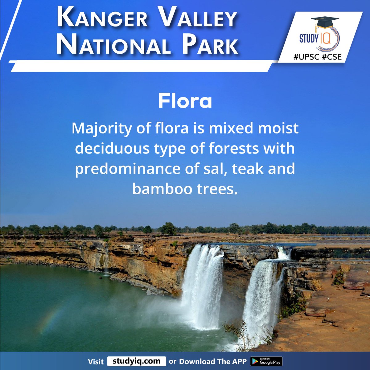 upsciq's tweet photo. Kanger Valley National Park

#kangervalleynationalpark #cameratrap #bastar #chhattisgarh #nationalpark #biodiversity #landscape #waterfalls #kangerriver #godavaririver #topography #plateaus #valleys #flora #forests #predominanceofsal #bambootrees #tigers #leopards #mousedeer https://t.co/q8xCxzfh2z