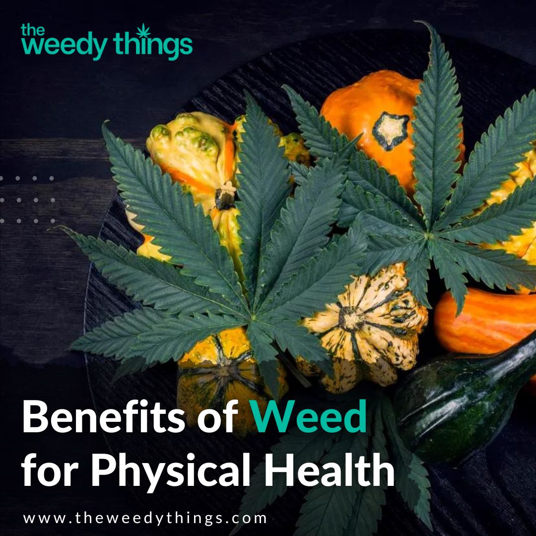 TheWeedyThings's tweet image. 👉Did you know that 🌿 can have physical health benefits? From pain relief to reducing inflammation. 📚 Learn how this plant can help!

#healthbenefits #consumers #insomniaproblems #painrelief #depression #mentalhealth #qualityproduct #canadianplants #relaxationtime