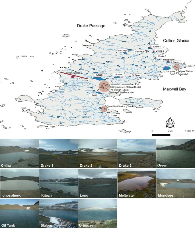 <a href="/van_journal/">Antonie van Leeuwenhoek Journal</a>
Characterisation of ‘Candidatus Methylobacter titanis’ sp. nov., a putative novel species of Methylobacter clade 2 and their distribution in sediments of freshwater lakes in maritime Antarctica
link.springer.com/article/10.100…
<a href="/KNVM_online/">KNVM</a>
<a href="/SpringerMicBio/">SpringerMicrobiology</a>
#avljom