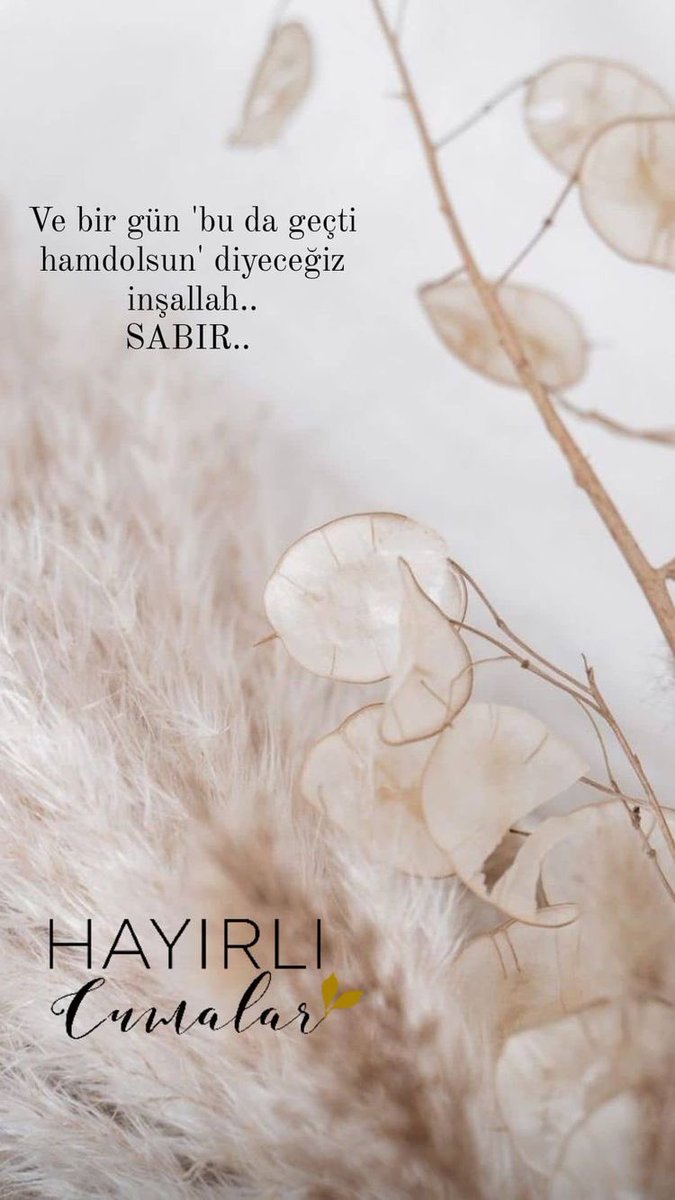 Ve bir gün 'bu da geçti hamdolsun' diyecegiz inşallah..
                SABIR..

Günaydın🌷
Hayırlı cumalar🍃

#Günaydın #Günaydınlar #HayırlıSabahlar #HayırlıCumalar #Sabır