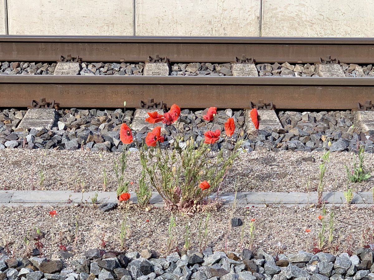 #Bahnhofsromantik