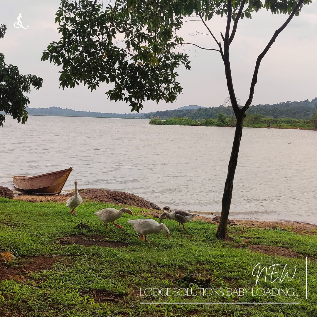 LodgeSolutions's tweet photo. We are so excited to announce we have a new #LSPartner loading..we are working behind the scenes before the official launch but you can trust this one will be such a treat for families,children & groups looking for an authentic #Ugandan / #African experience not far from #Kampala https://t.co/LmCpZb68SH