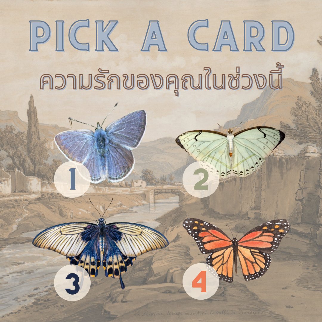 🌻TheArisTarot🌻(แม่หมออลิส) tweet media