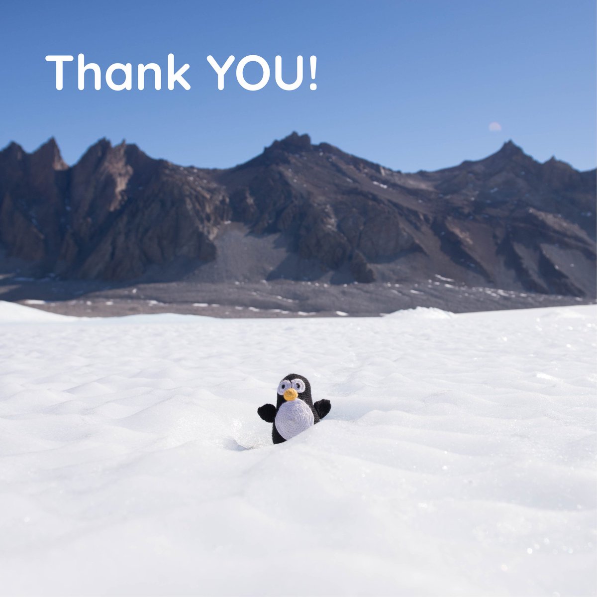 AustrianPolar's tweet photo. What a talk!😎
APRI would like to thank everyone involved for yesterday's successful evening!
Some impressions from Polar Talk #8 by Klemens Weisleitner!
@Kweisleitner @daleandersen @uniinnsbruck
Picture credits:
📸 1: Klemens Weisleitner
📸 2 - 4: Christoph Ruhsam https://t.co/lwcAN6X22V