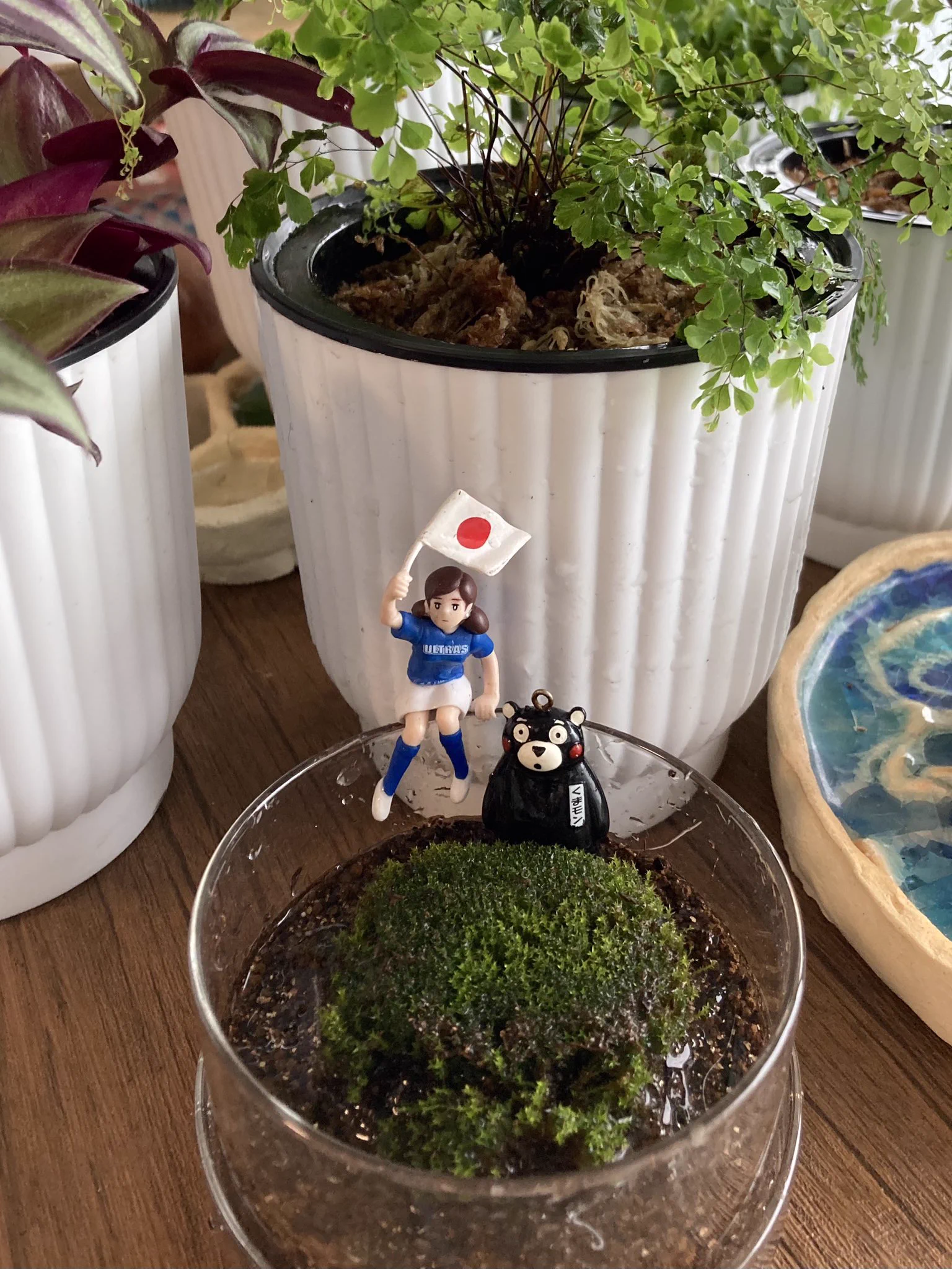 買い物から帰ったら暴風雨で🌀慌ててカッパきて
ユッカに麻布巻いて固定、13号埋立地の水門開けて、
風に弱い植物を室内に入れた。
今からお昼ごはん。
カレーライスにウフマヨ。ウフ。  