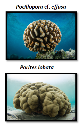 Jean-Marc Aury tweet media