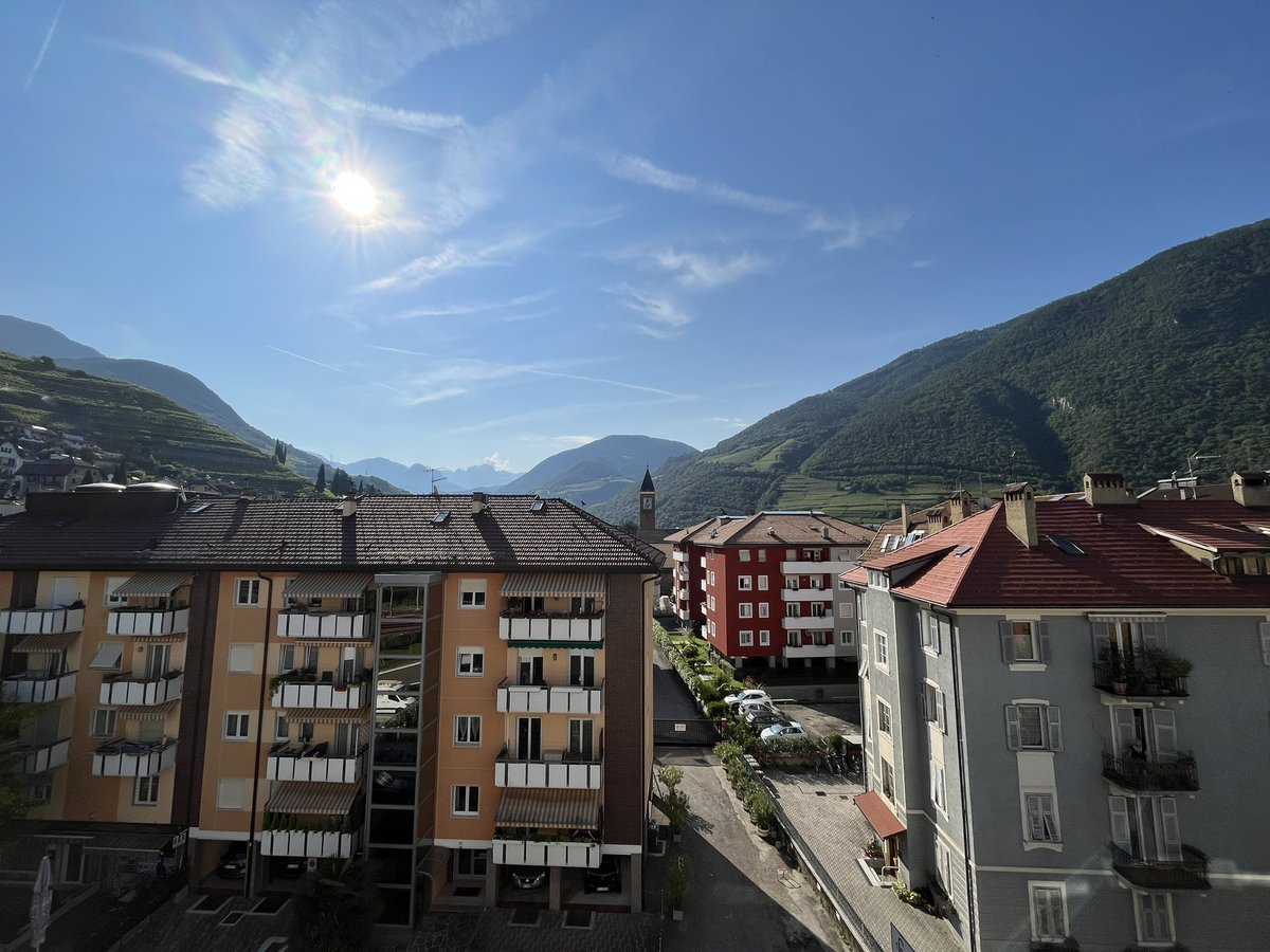 Lisa Davis tweet media