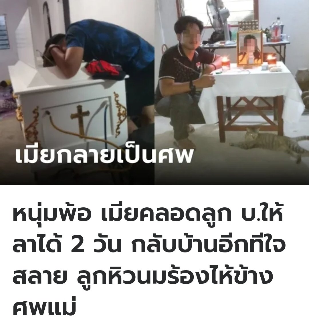 TarotYouuuu's tweet photo. ที่มาเลเซีย บริษัทอนุญาตให้เขาลาไปดูแลภรรยาได้ 2 วัน แทนที่จะเป็น 7 วันตามกฎหมาย ทำให้เขาต้องกลับไปทำงานต่อ เมื่อกลับมาบ้านอีกครั้ง ภรรยาได้เสียชีวิตลง น้องหิวร้องไห้ข้างร่างของแม่ เขารู้สึกเสียใจที่ไม่ได้ดูแลเธออย่างที่ควรต้องทำ เศร้าใจจริงๆครับ https://t.co/8zwrqwbKQu