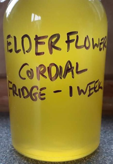 A family day out forraging for Elderflower on the Northdowns followed by batch home brewing of delicious Elderflower Cordial. #elderflower #elderflowercordial #forraging #foodprovenance