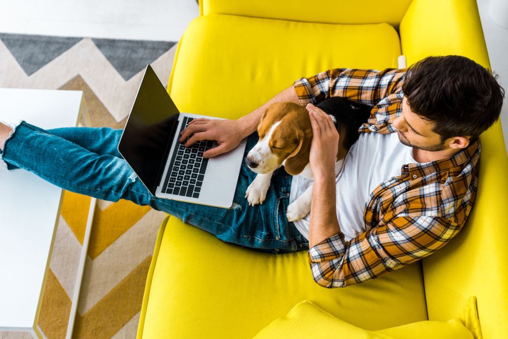 JCPinWestMids's tweet photo. A job that allows you to work from home can bring a better work-life balance, a comfortable environment and save on the cost of commuting
Search for the latest home working opportunities
Find A Job https://t.co/eJ3Boe40tp
Reed https://t.co/axztqC67jC
#BrumTweets #HomeWorking https://t.co/fTAwA0fdx4