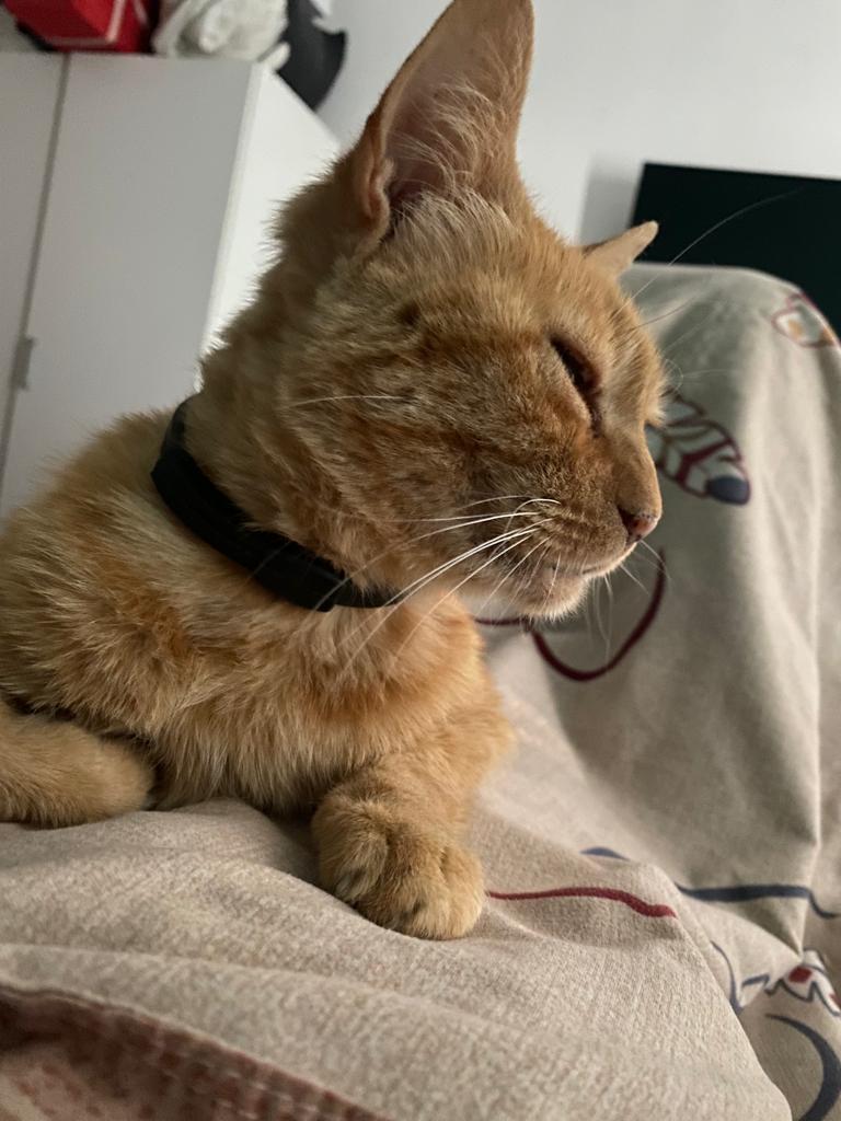 Buenos días para todos los tuiteros. Feliz viernes. Declarado mejor día de la semana