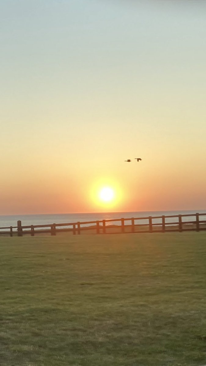 PTeifi's tweet photo. Last night we dined @thecopperpotcardigan 🍱 The meal was amazing thank you, #Saltandpeppersquid #steak We highly recommend you book here for a #meal followed by a #nightcap at another firm favourite @TheCliff_Hotel 
for the #amazing #sunset #sunsets #geese #geeseofinstagram https://t.co/joGjxudf8k