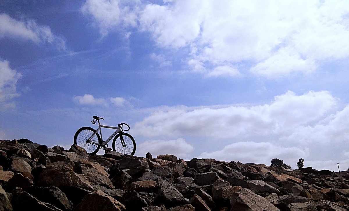 Tomorrow, on June 3rd, we celebrate World Bicycle Day to promote the use of bicycles for a cleaner environment, less congestion and a healthy lifestyle.
Let's choose sustainable mobility together!
 
#worldbicycleday #sustainablefuture #sustainablemobility 

Pic: Pixabay