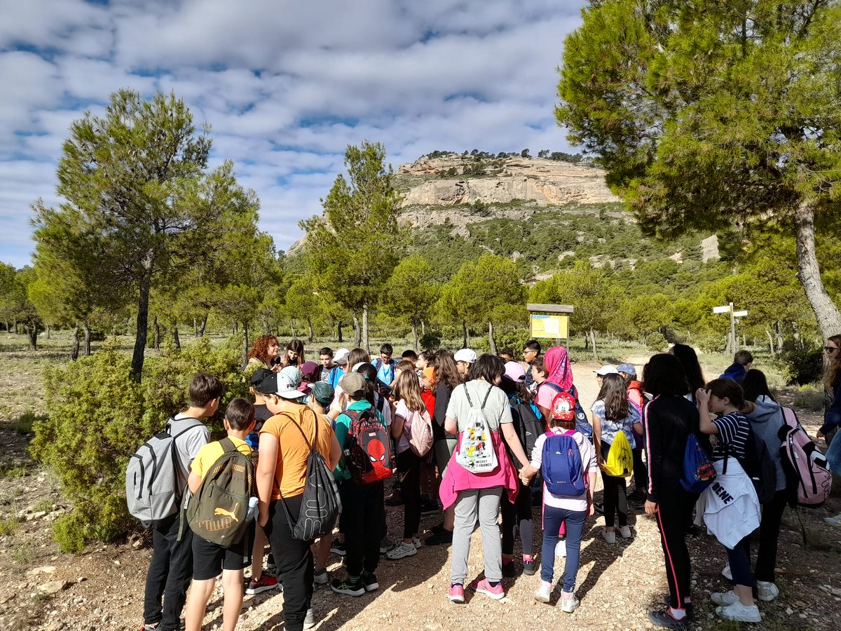 CeipPaz's tweet photo. Qué bien nos lo pasamos (5° Primaria) en nuestro querido “Arabí”, y como hay que preservarlo, disfrutamos de unas lecciones magistrales por parte  de #BRIFOR y @aamm_murcia
Gracias a todos:
@AytoYecla @Educarm @defensaforeMUR https://t.co/tNQhWYDhoa