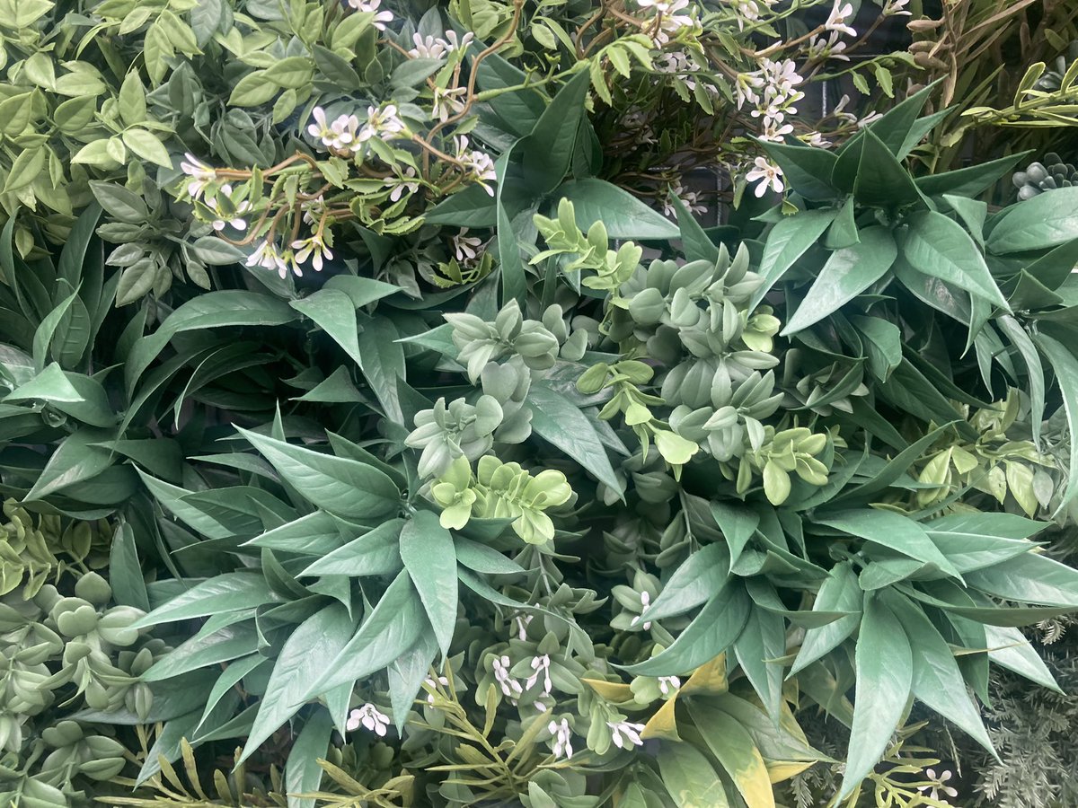 Krijg nou tieten… dit gebouw op AirPort Rotterdam heeft een ‘groene gevel’ met plastic planten 😳 my God #rotterdam #greenwashing