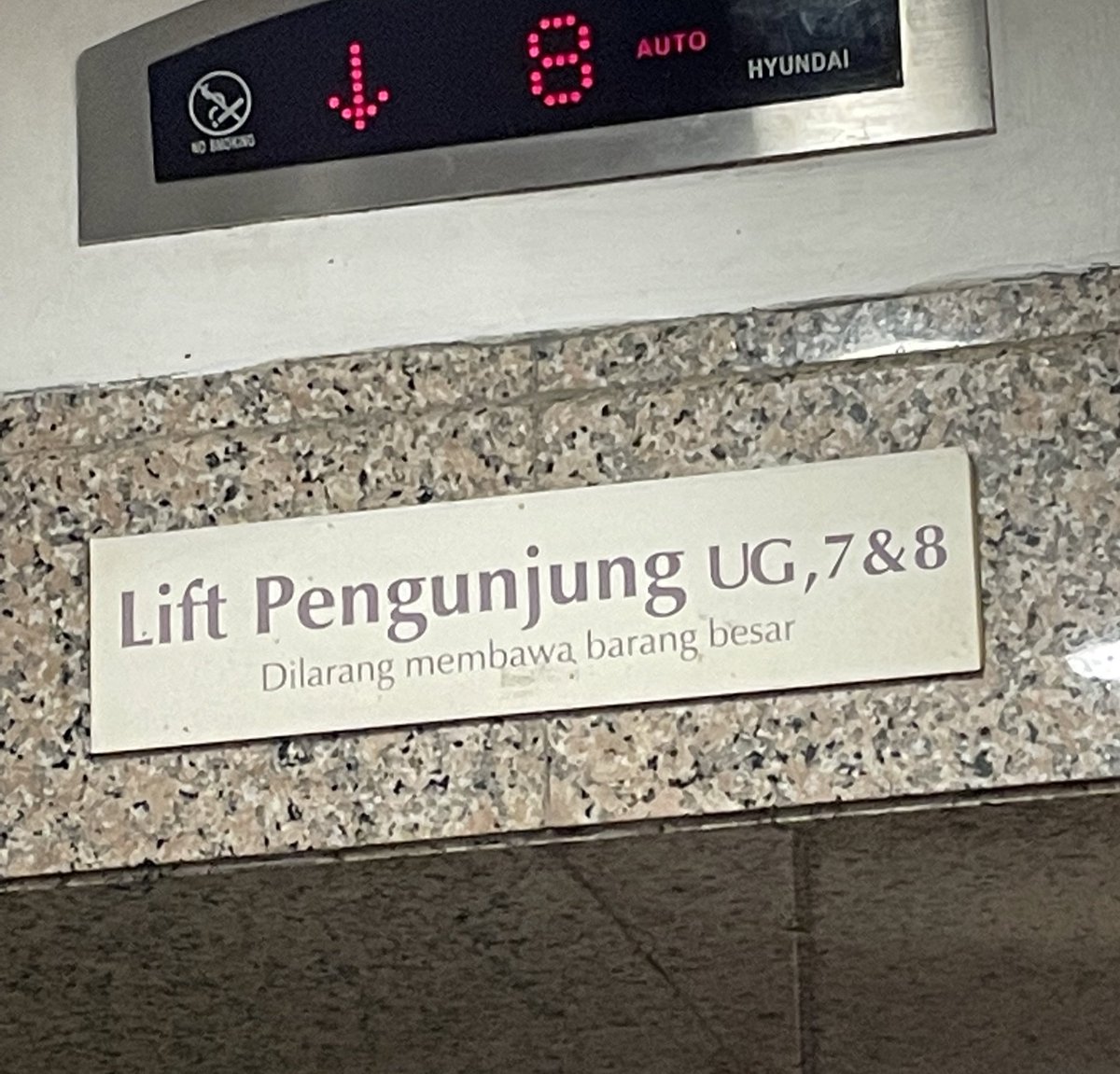 toRa // Macan Wigit tweet media