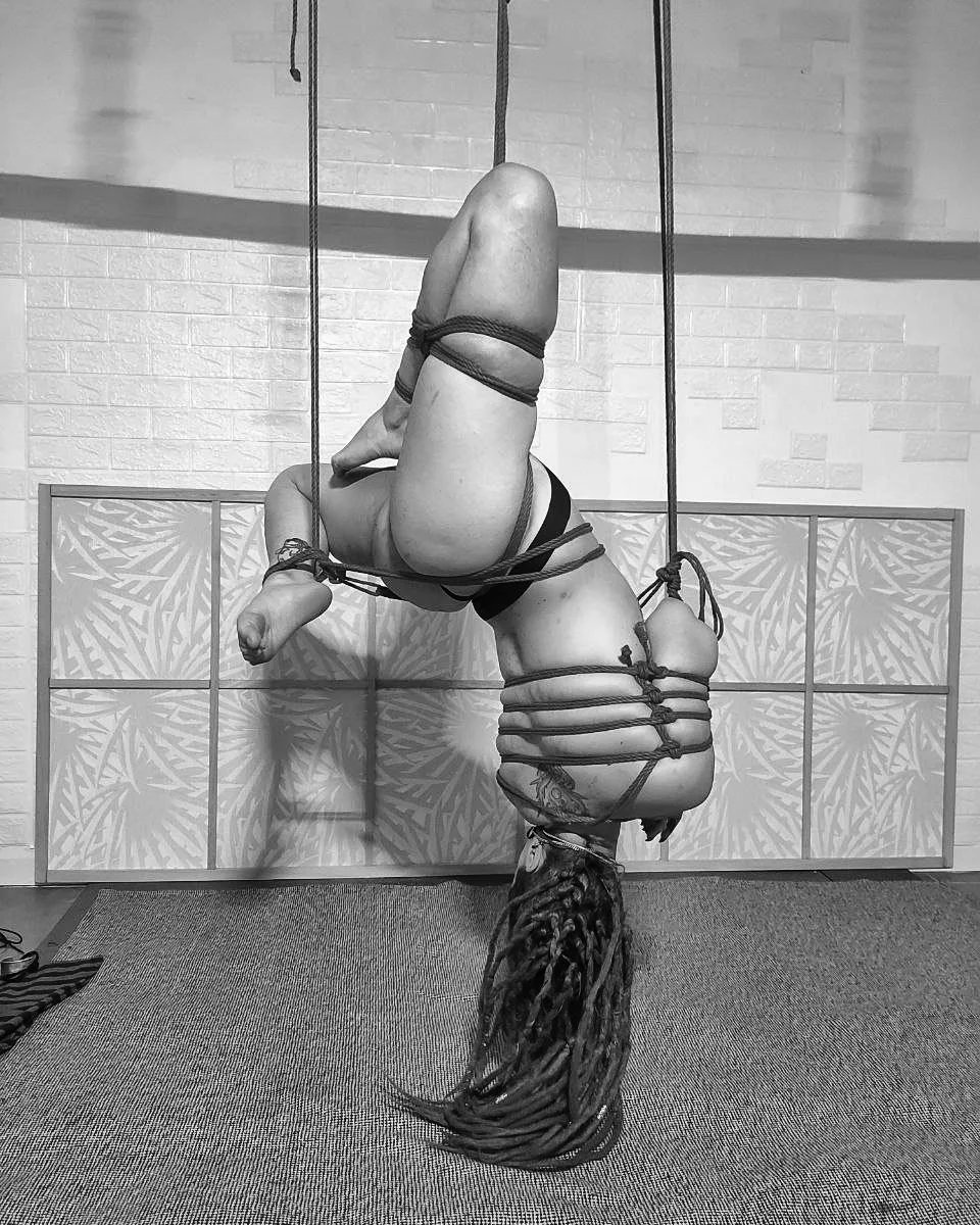 LeidenLogan's tweet photo. My wolf ropes 🐺💚💜🐉 

#shibari #Shibarium #loveislove https://t.co/wfjgzMKO4I