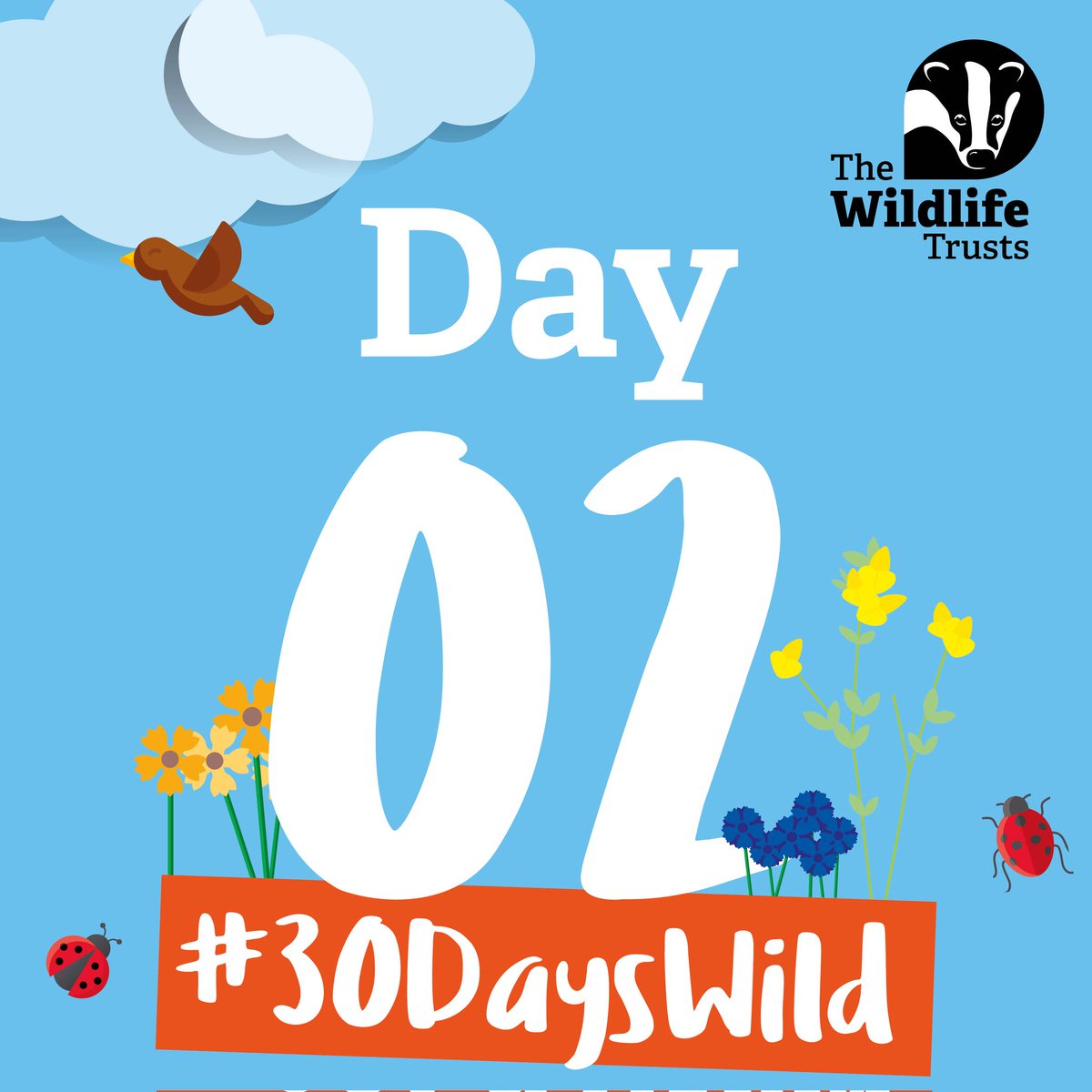 Day 2 of #30DaysWild and Baz grabs a brew by the fire before the Clan arrive.
#holidayactivities #whatsonsunderland