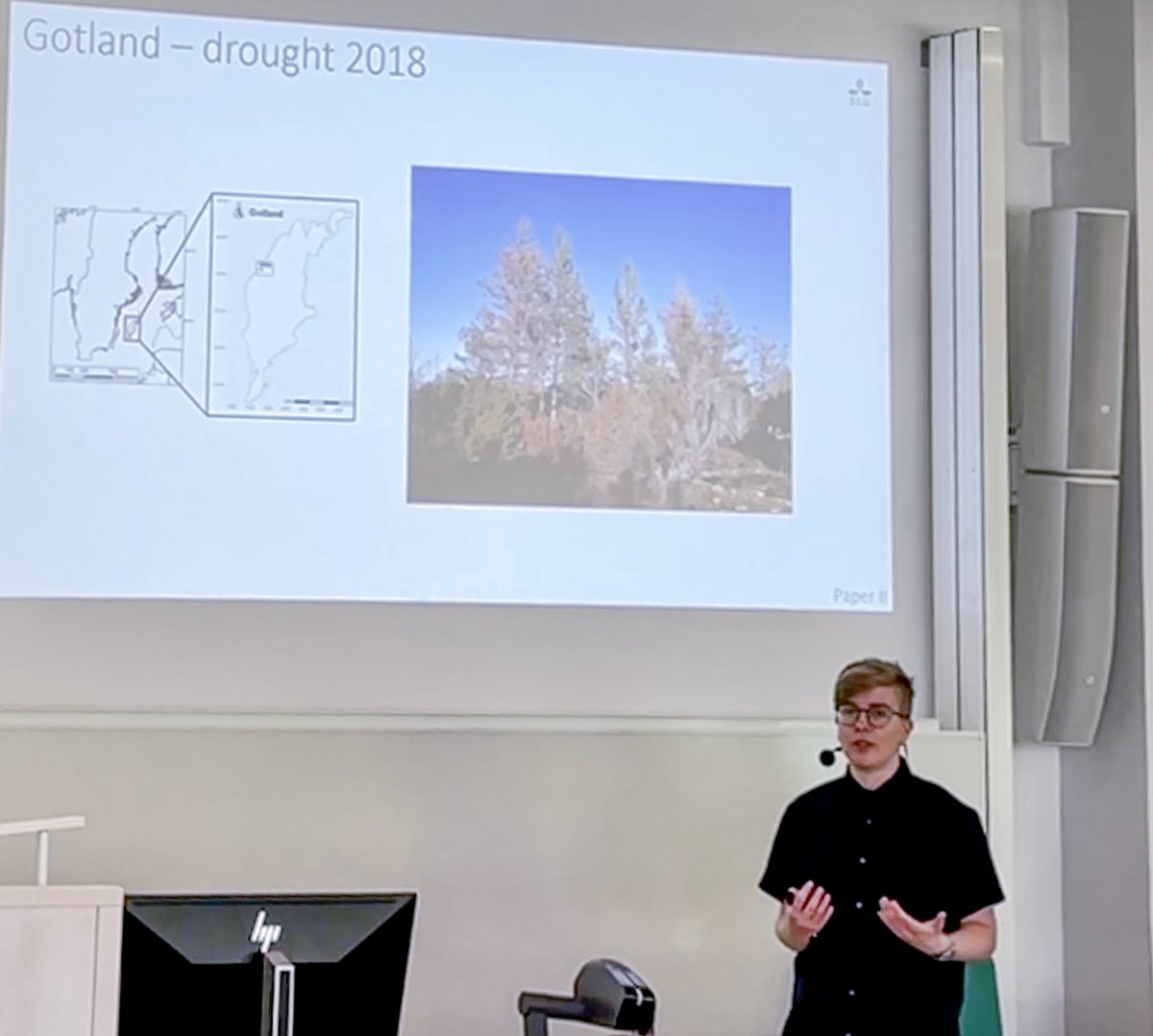After the drought on Gotland, large pine areas had severe crown thinning. <a href="/BroddeLaura/">Laura Brodde</a> defends here thesis on diplodia tip blight!