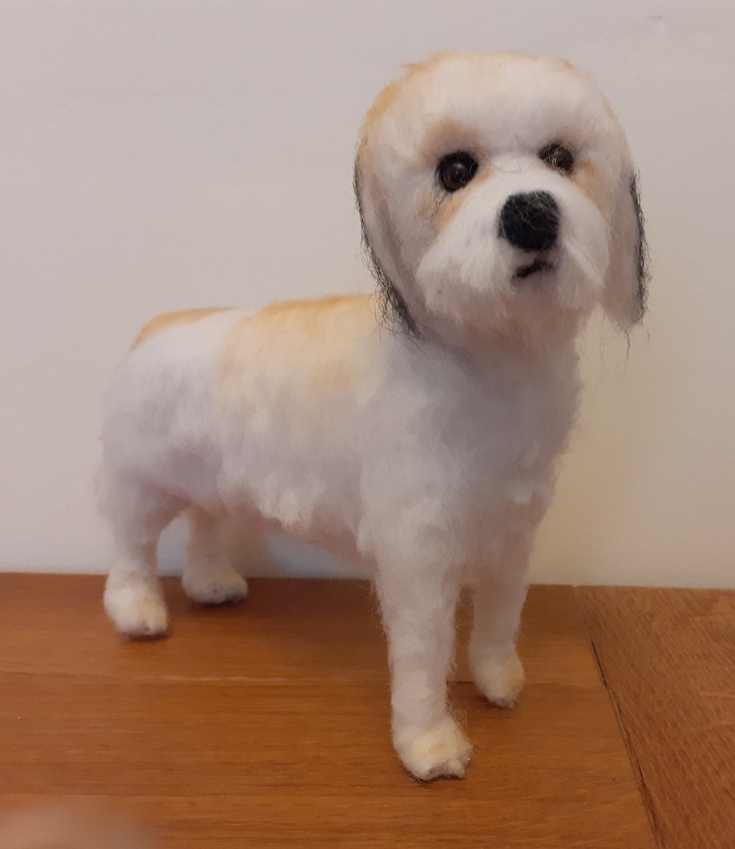 DobsonBruce's tweet photo. My needle felted wool commissioned replicas made up from my clients own photos to capture all distinctive features and markings
Built on a wire armature so can adopt a variety of different poses
Please message me for more information 
#handmade #artist #pets #dogs https://t.co/xWaJeZDT7G